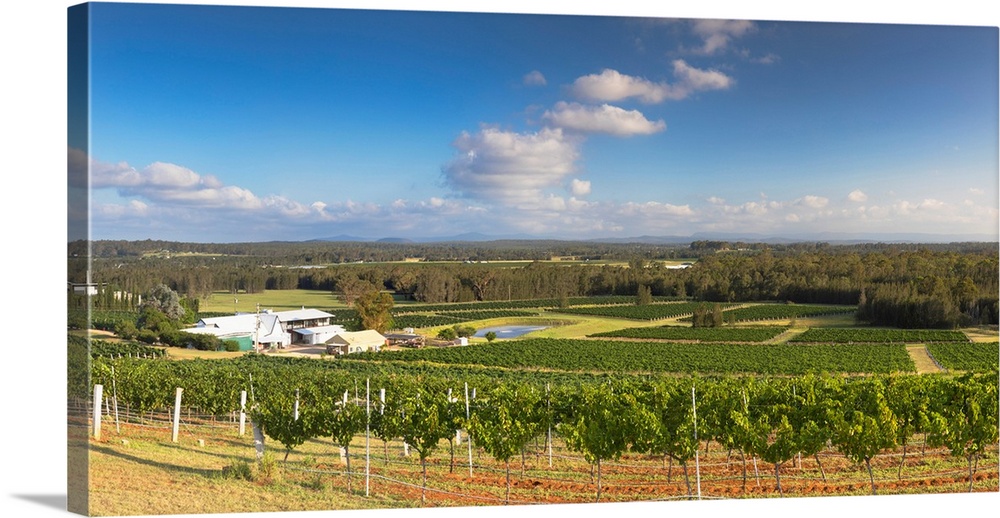 Lakes Folly Wine Estate, Hunter Valley, New South Wales, Australia