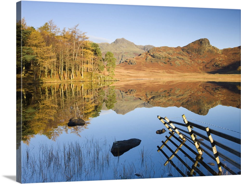 Langdale Pikes reflected in a mirror-like Blea Tarn in the early morning, Lake District National Park, Cumbria, England. A...