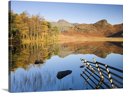 Langdale Pikes reflected in a mirror-like Blea Tarn, Cumbria, England