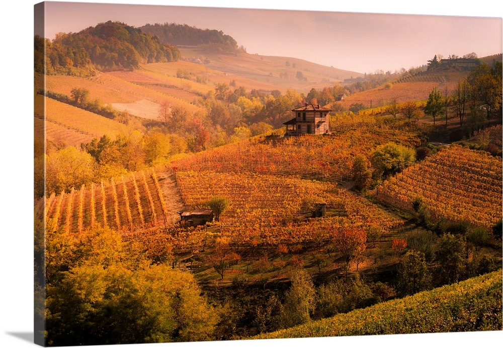 Langhe, Piedmont, Italy. Autumn Landscape With Vineyards And Hills.