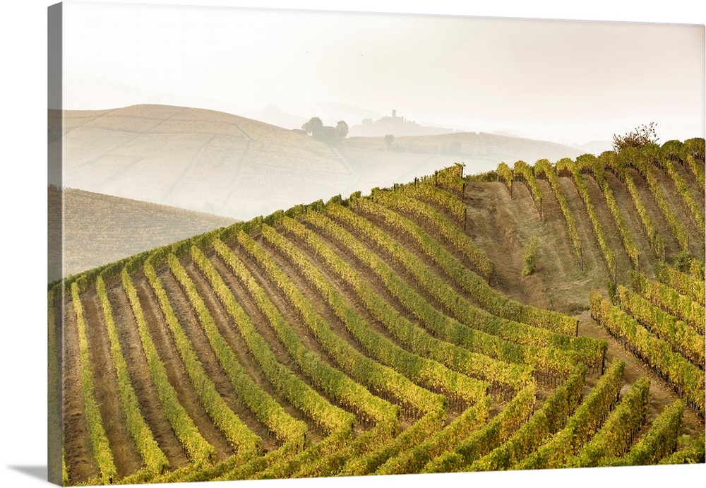 Langhe, Piedmont, Italy. Autumn Landscape With Vineyards And Hills.