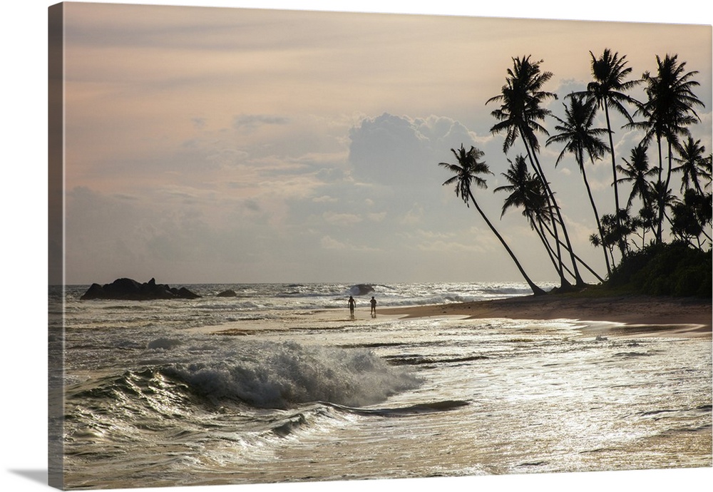 Late afternoon sunlight at a beautiful beech near Galle, Sri Lanka.