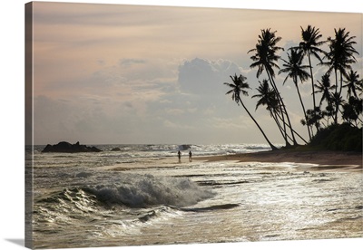 Late afternoon sunlight at a beautiful beech near Galle, Sri Lanka