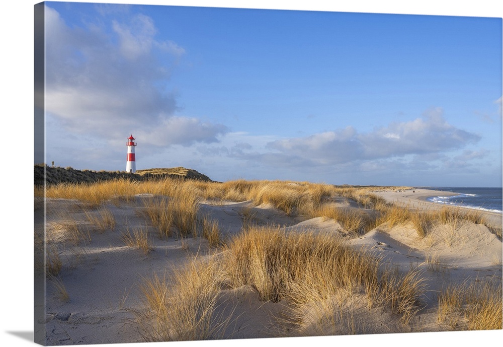 Lighthouse List East, Ellenbogen area, Sylt Island, North Frisian Islands, Schleswig Holstein, Germany