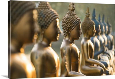 Line of Buddha statues, Seema Malaka temple on Beira Lake. Colombo, Sri Lanka