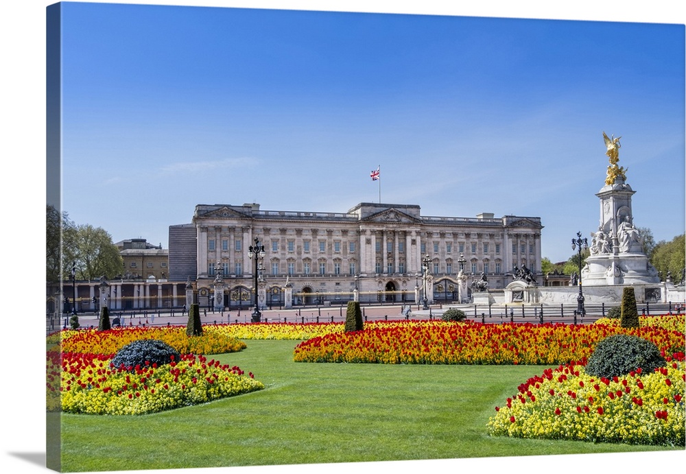 United Kingdom, England, London, Buckingham Palace, facade of the palace in Spring showing the flower gardens and the Vict...