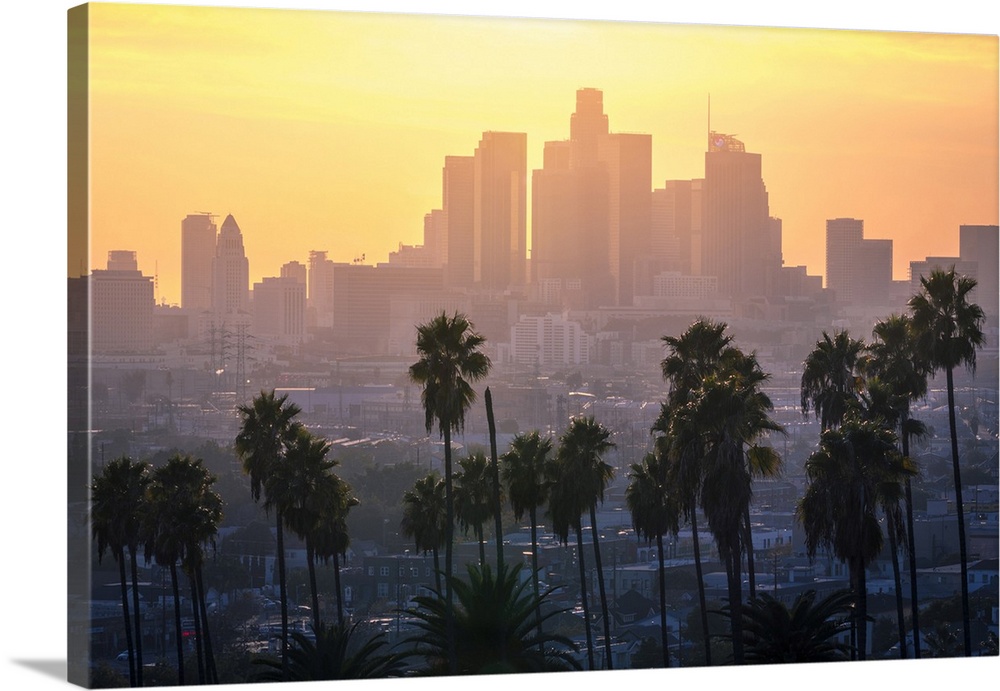 Los Angeles Downtown and palm trees at sunset. This is a classic view of the city of angels, with palm trees surrounding h...
