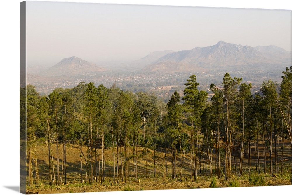 Malawi, Zomba. View over the town of Zomba from the lower slopes of Zomba Plateau where once there was dense forestry plan...