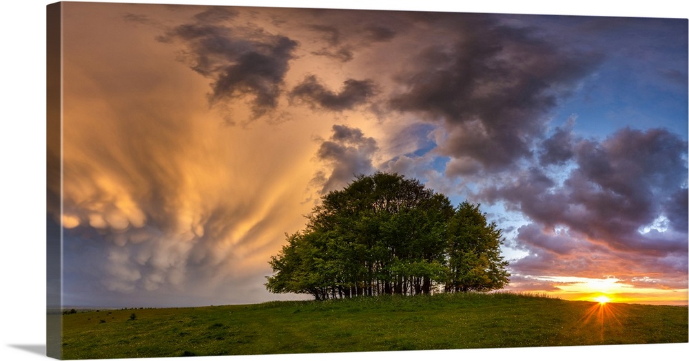 Mammatus Storm Clouds over Beech Trees at Sunset, Win Green Hill, Wiltshire, England.