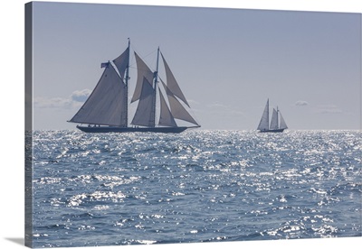 Massachusetts, Cape Ann, Gloucester Schooner Festival, schooner sailing ships