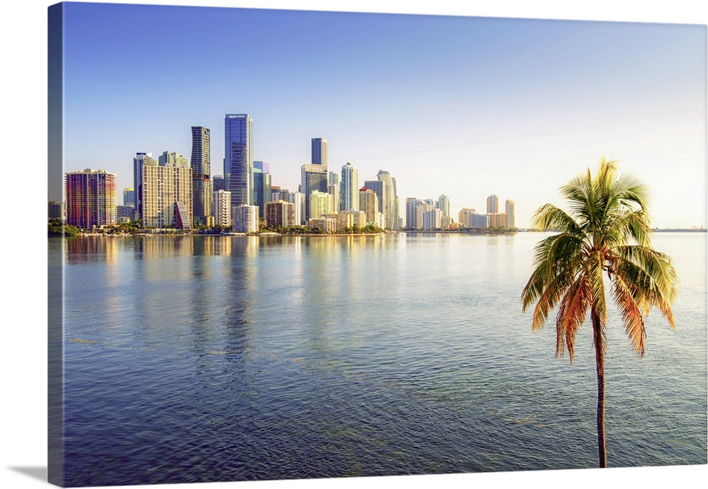 USA, Miami, Florida, Downtown Skyline, Biscayne Bay, Palm Tree, Morning