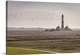 image thumbnail of Migratory birds at the Westerheversand lighthouse, North Friesland, Schleswig-Holstein.