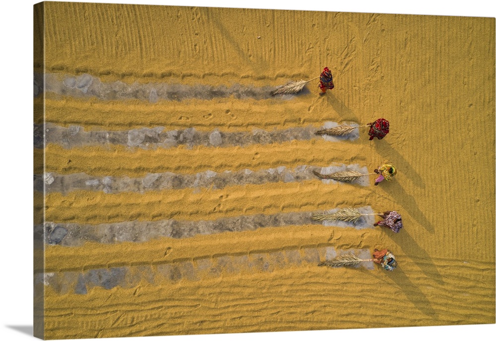 Millions of grains of rice are laid out to dry at a mill as workers brush them with leaves in the hot sun, Bogura, Banglad...