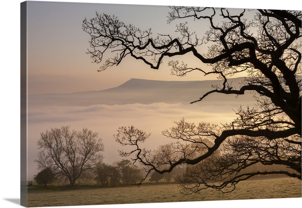 Misty dawn looking towards Mynydd Llangorse in the Brecon Beacons National Park, Powys, Wales, UK.
