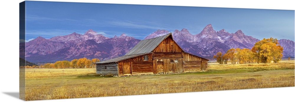 Before Sunrise Moulton Barn, Mormon Row, Historic District in Autumn, Fall Foliage with Grand Teton Mountain Range in the ...