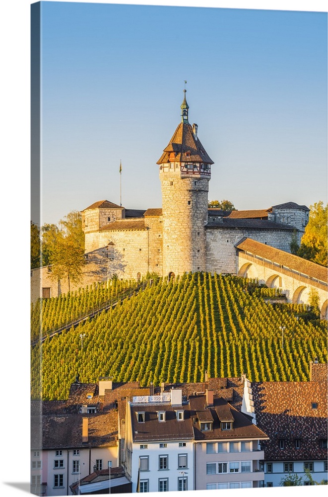 Munot fortress and vineyards, Schaffhausen, Switzerland.