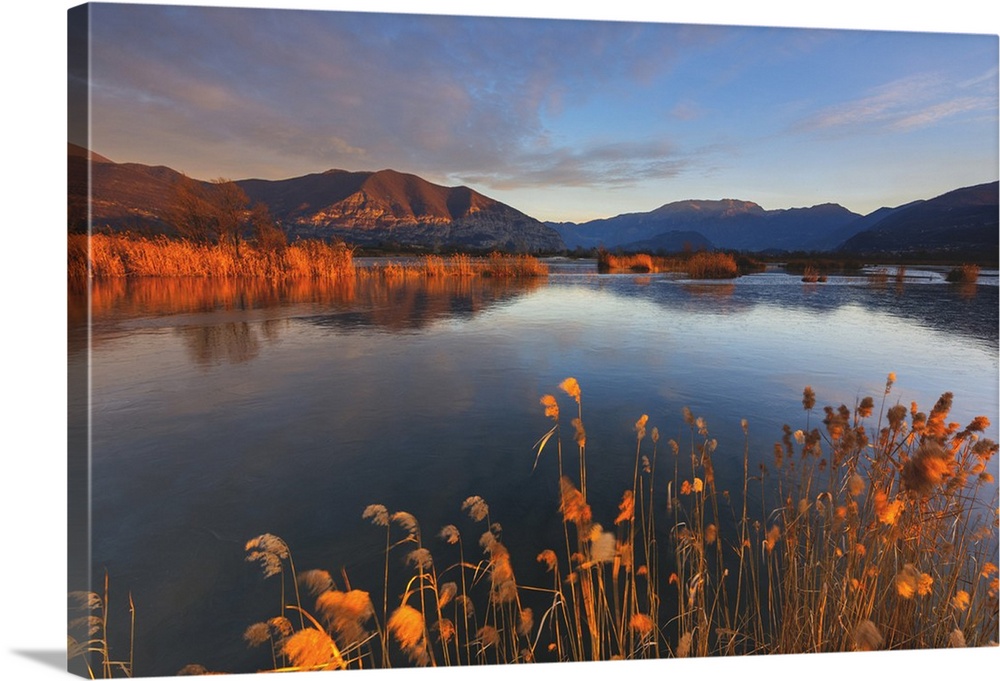 Natural Reserve, Torbiere del Sebino , Brescia province, Lombardy district, Italy.