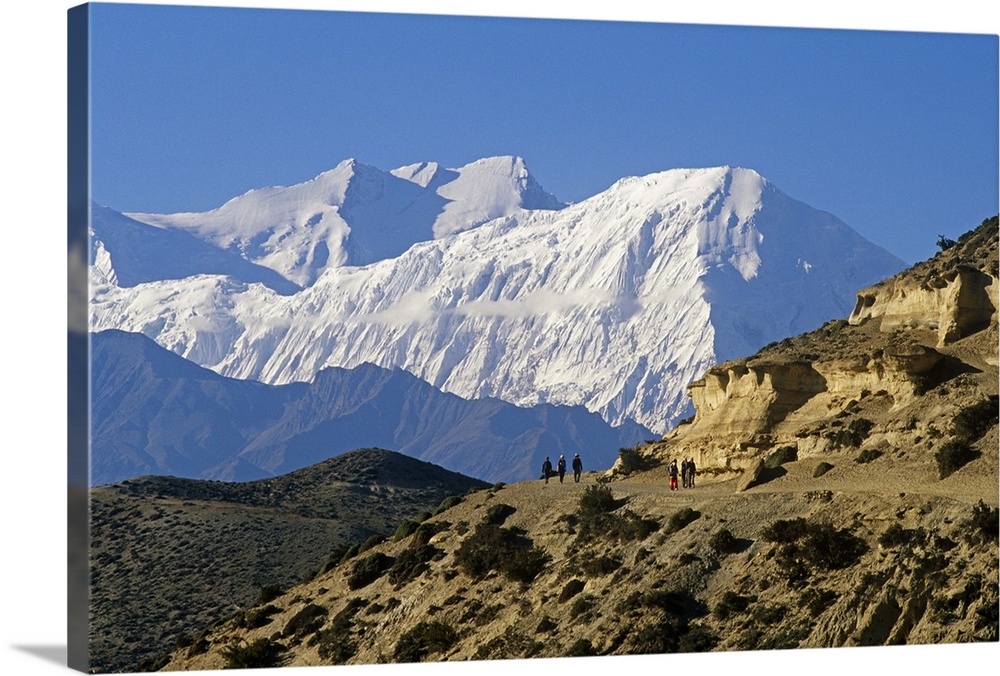 Nepal, Himalaya, Mustang. Trekkers on the main Mustang trail with the Annapurna massif soaring on the horizon behind.