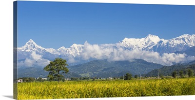 Nepal, Pokara, Machupuchara