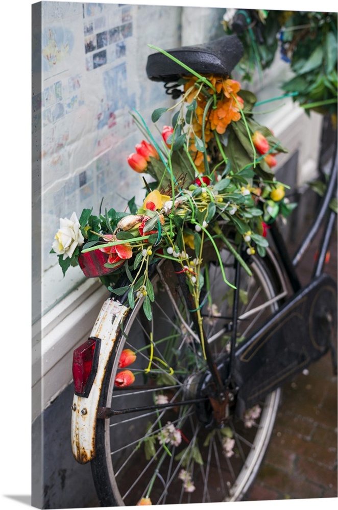 Netherlands, Amsterdam, bicycle covered in tuiips.