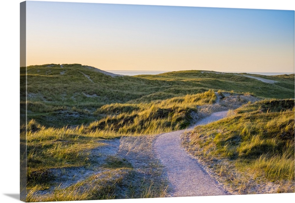 Netherlands, North Holland, Julianadorp. Walking path through the dunes at sunset.