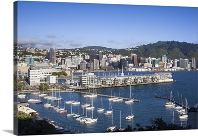 New Zealand, North Island, Wellington, elevated city skyline from Mt. Victoria, dawn