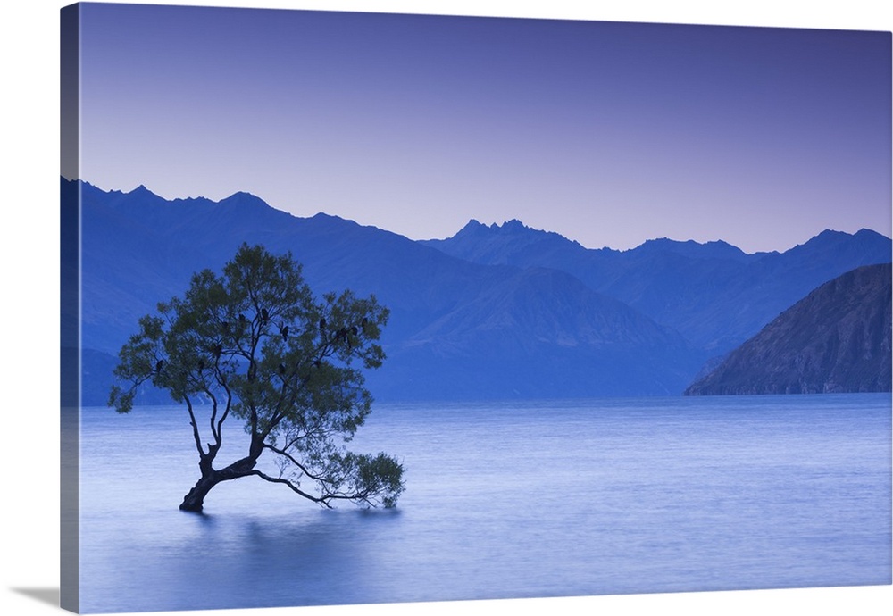 New Zealand, South Island, Otago, Wanaka, Lake Wanaka, solitary tree, dusk.