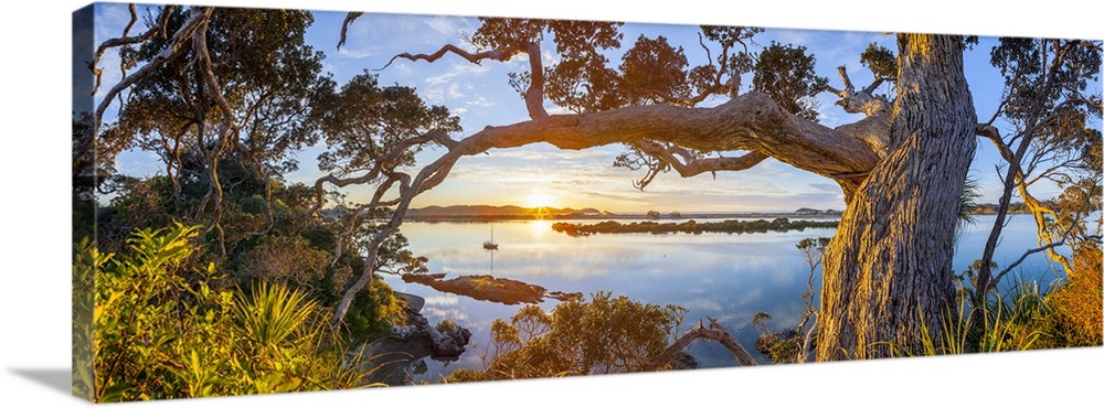 Ngunguru Sunrise, Tutukaka Coast, Whangarei, Northland, North Island, New Zealand