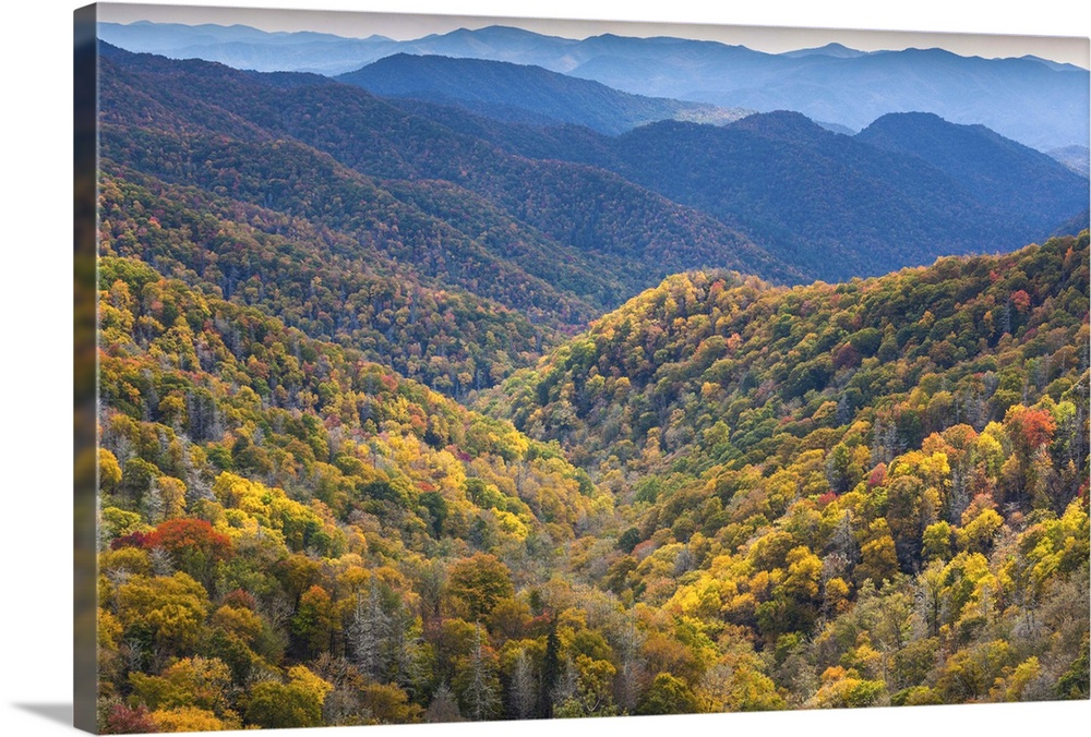 USA, North Carolina, Great Smoky Mountains National Park, autumn panorama from Newfound Gap