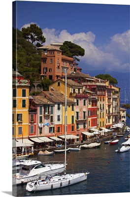 Northern Italy, Italian Riviera, Liguria, Portofino, Boats in the marina of portofino