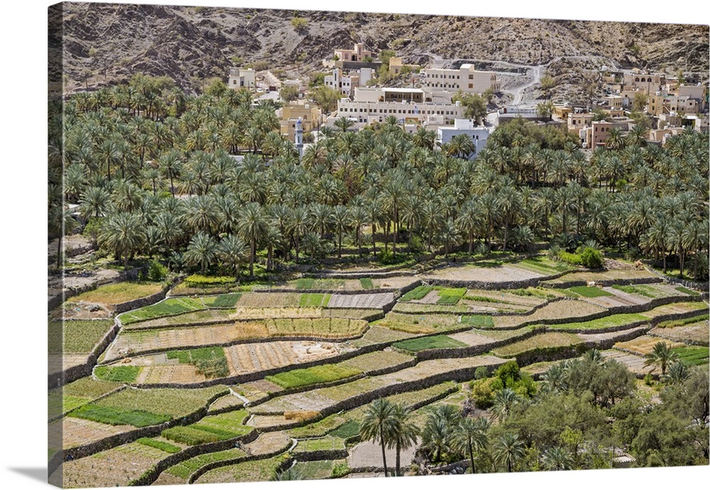 Oman, Ad Dakhiliyah Governorate, Balad Sayt. The picturesque village of Balad Sayt with its neat irrigated fields enjoys a...