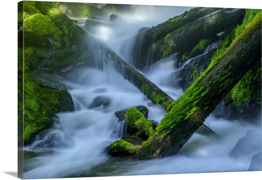 USA, Oregon, National Creek Falls