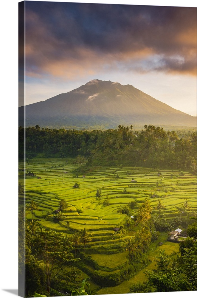 Sidemen valley, Rendang, Karangasem Regency, Bali, Indonesia. Paddy fields with Gunung Agung (Mt Agung) volcano at sunrise.