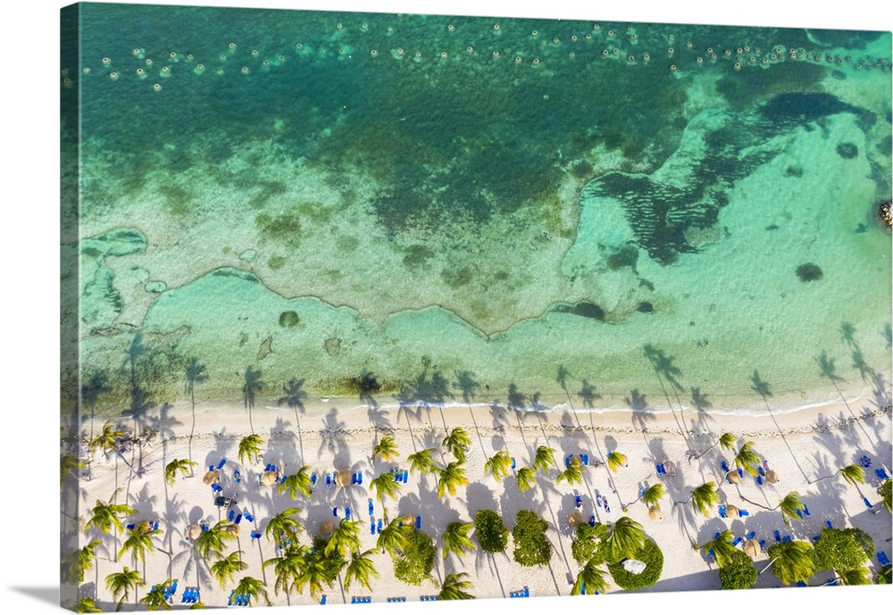 Palm-fringed beach washed by Caribbean Sea from above by drone, St. James Bay, Antigua, Leeward Islands, West Indies