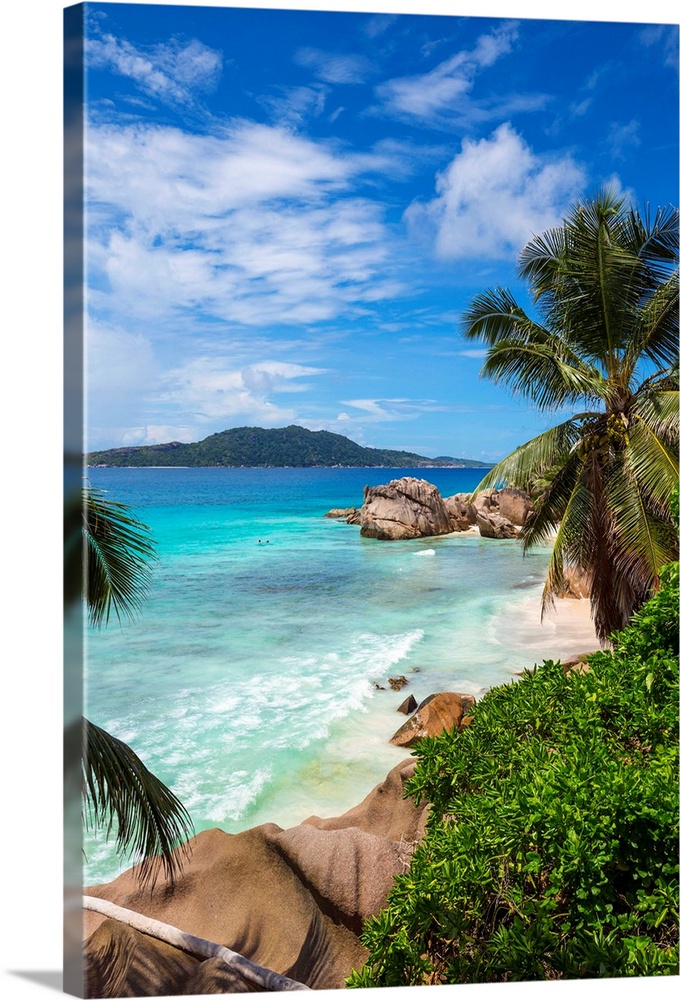 Palm trees and tropical beach, La Digue, Seychelles.