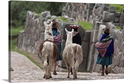 Peru, Native Indian women lead their llamas past the ruins of Saqsaywaman