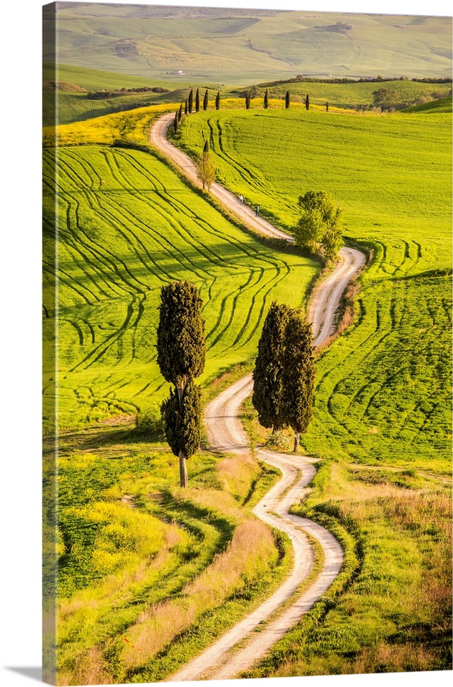 Pienza, Val d'Orcia, Tuscany.