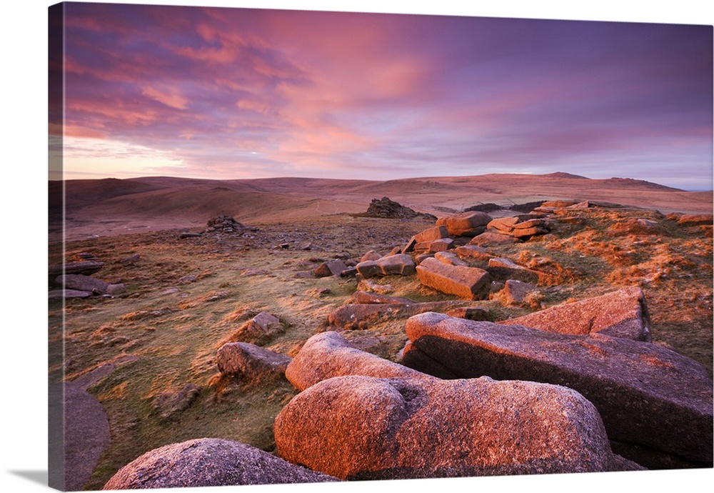 Pink dawn sky above Belstone Tor, looking towards Higher Tor and Winter Tor in the mid distance and Yes Tor and High Willh...