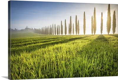 Poggio Covili, Castiglione d'Orcia, Val d'Orcia, Tuscany, Italy