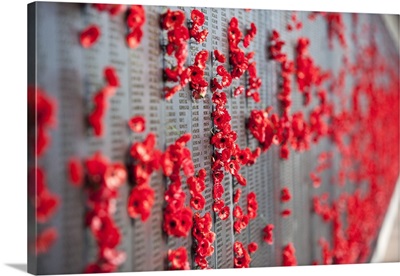 Poppies adorning the Roll of Honour walls in the Australian War Memorial
