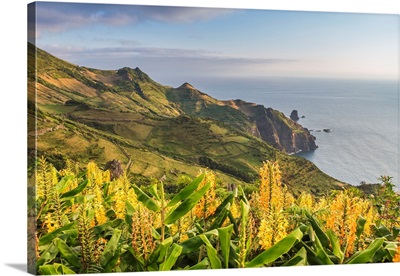 Portugal, Azores Archipelago, Flores Island, Faja Grande