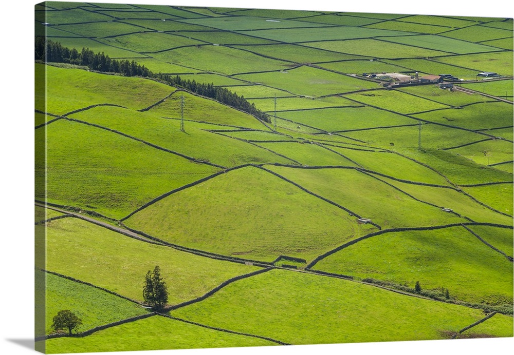 Portugal, Azores, Terceira Island, Serra do Cume of fields, springtime
