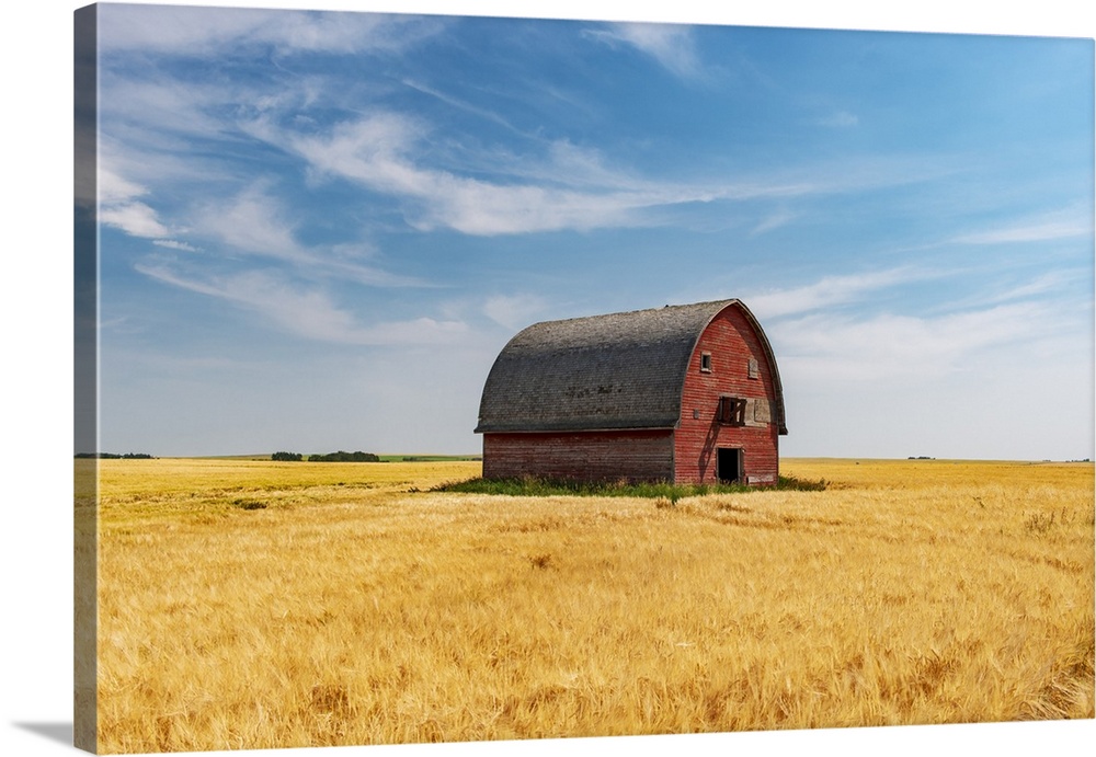 Red Barn And Grain Crop Vulcan, Alberta, Canada