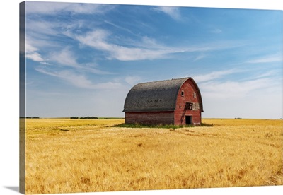 Red Barn And Grain Crop Vulcan, Alberta, Canada image thumbnail