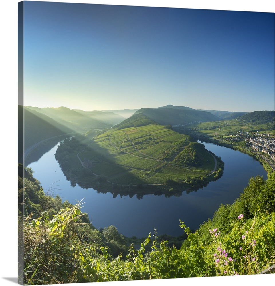 View of River Moselle, Bremm, Rhineland-Palatinate, Germany.