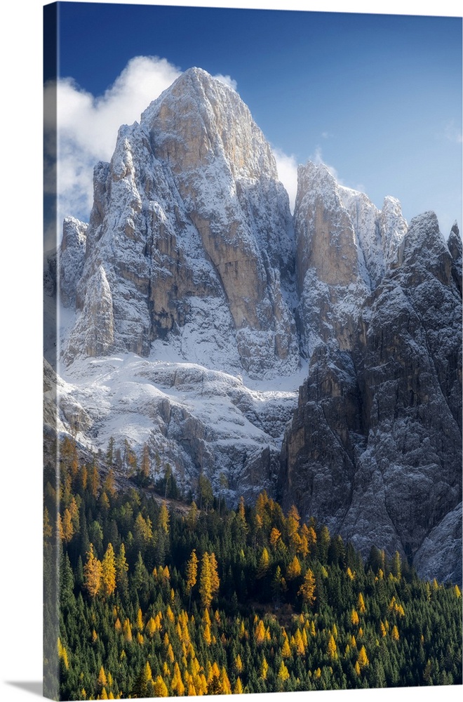 The first snow of the year in late autumn at Rolle Pass, with the majestic Pale di San Martino in the background and the c...