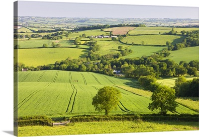 Rolling farmland near Stockleigh Pomeroy, Devon, England