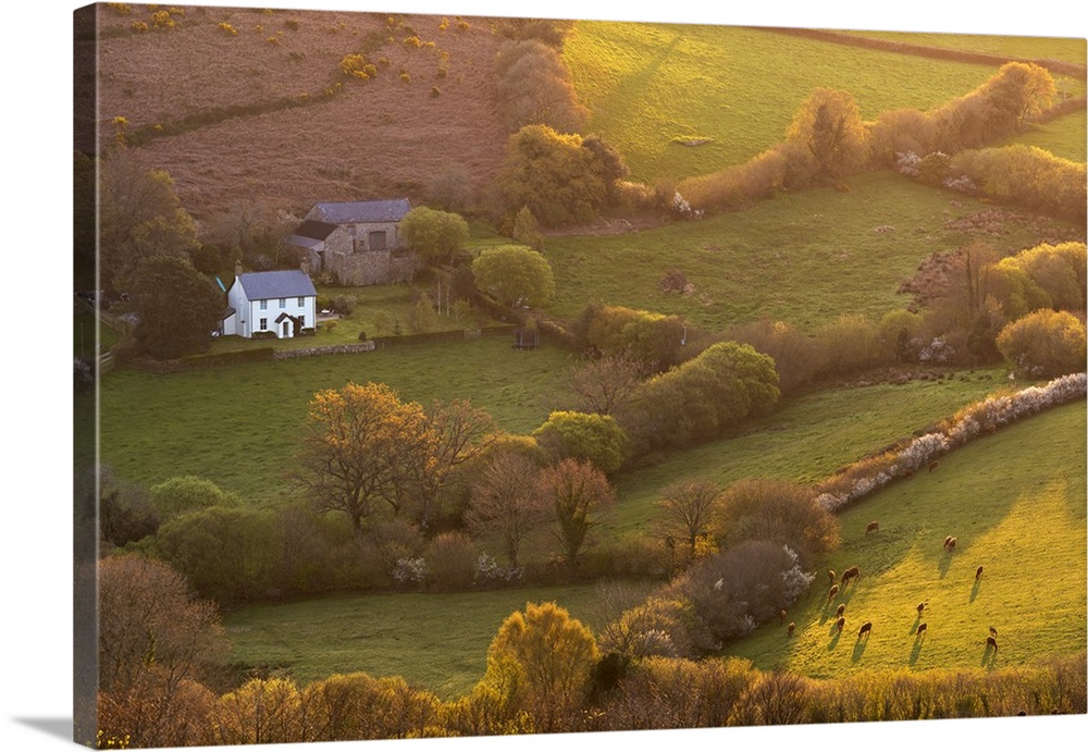 Rural cottage in idyllic countryside surroundings, Dartmoor National Park, Devon, England. Spring (April) 2017.