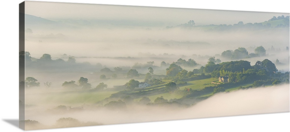 Rural houses emerging through morning mist, Somerset, England