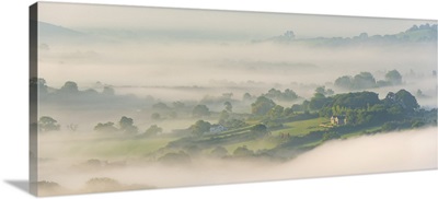 Rural Houses Emerging Through Morning Mist, Somerset, England
